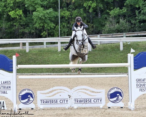 Springpferd Cantero Da Lagoa (Holsteiner, 2008, von Cassini II)
