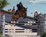 jumper Ecuador (Hanoverian, 2004, from Escudo I)