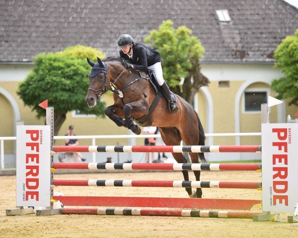 jumper Corazon de Luz (Bavarian, 2009, from Landprinz)