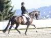 dressage horse Sun Hit BTH (German Sport Horse, 2019, from Secret)