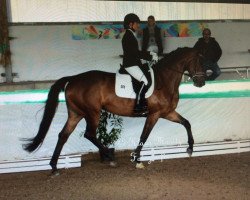 dressage horse Acira 5 (Oldenburg, 2010, from Status Quo)