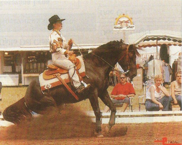 stallion Black Cody Jac (Quarter Horse, 1998, from Hollywood Cody Jac)