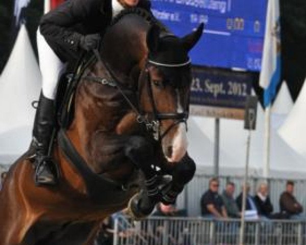 jumper Figari (Hanoverian, 2007, from For Edition I)