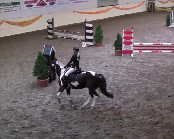 16. Legdener Pony-Meeting