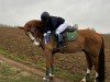 jumper Lunik Mission (Hanoverian, 2011, from Le Cou Cou)