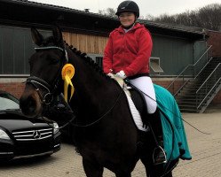 dressage horse Fred le beau (Westphalian, 2010, from Flanagan)