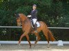 dressage horse Fathers Star Just Do It (Westphalian, 2011, from Fiderstar)