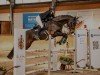 jumper Letizia 65 (German Sport Horse, 2017, from Lets go)