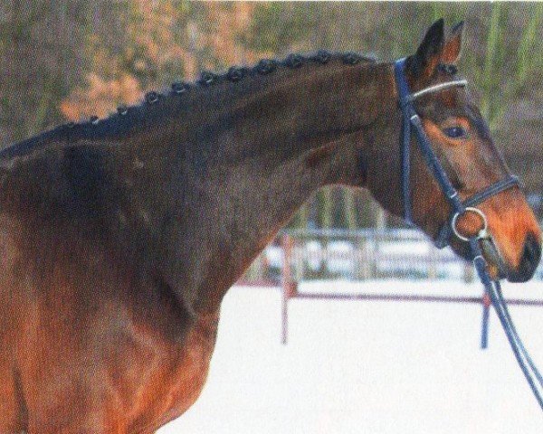 Springpferd Valuna (Westfale, 2004, von Vulkano FRH)