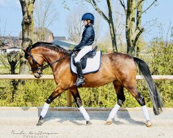 broodmare Don't Wait (German Riding Pony, 2009, from FS Don't Worry)