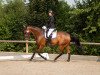 dressage horse Pica d'or (Westphalian, 2007, from Peking)