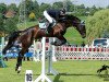 jumper Barny 73 (German Sport Horse, 2013, from Balou du Rouet)