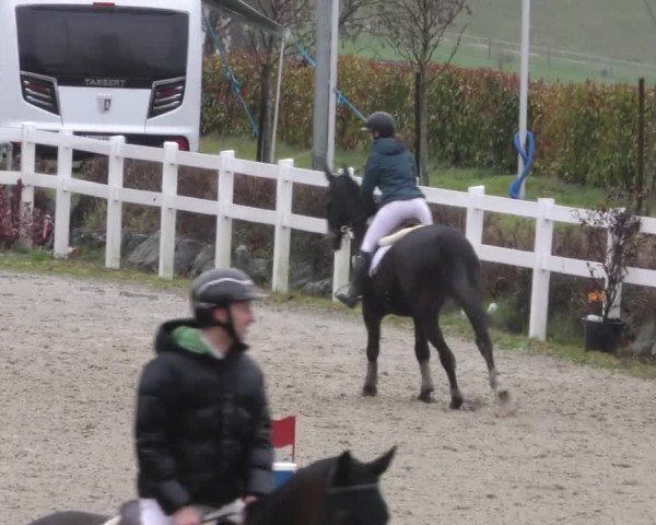 Reitturnier St. Margarethen 2025