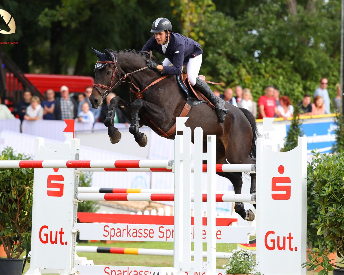 jumper Lukas 910 (Holsteiner, 2004, from Limbus)