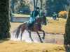 Springpferd Lady Ciacomo (Westfale, 2018, von Ciacomo)