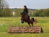 broodmare Mayra 9 (German Riding Pony, 2011, from Nemax)