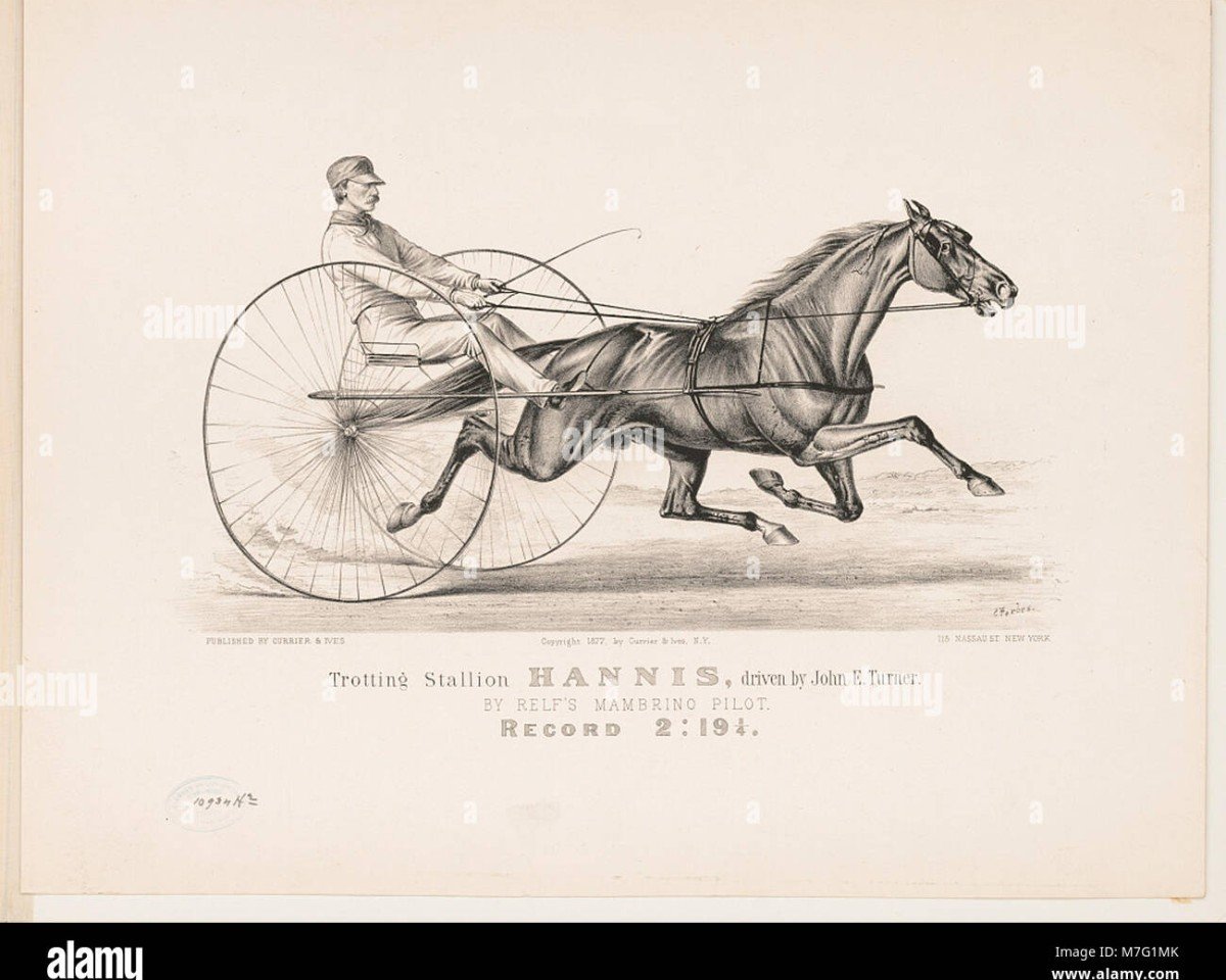 Deckhengst Mambrino xx (Französischer Traber, 1806, von Messenger xx)