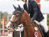 jumper Del Pepino (German Riding Pony, 2019, from Del Piero 25)