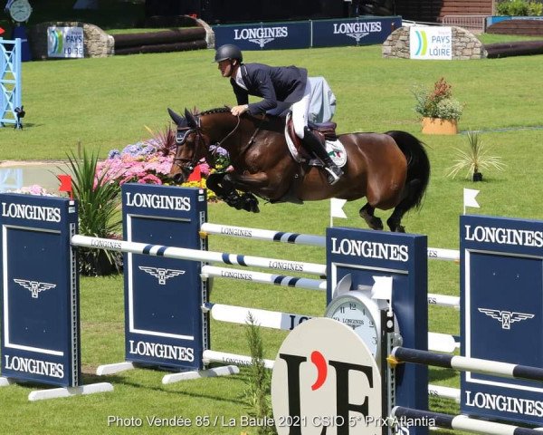 broodmare Frenchy Vds (Westphalian, 2010, from Cornet Obolensky)