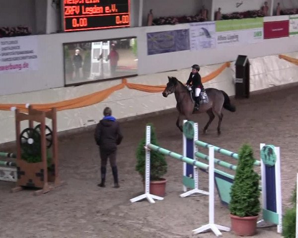 16. Legdener Pony-Meeting