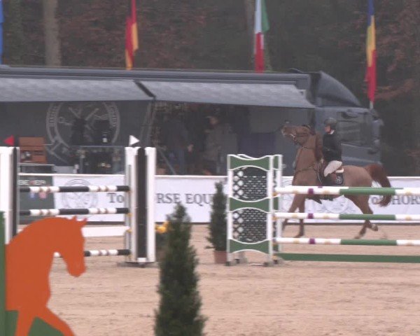 Reitturnier Ranshofen - Braunau am Inn 2025