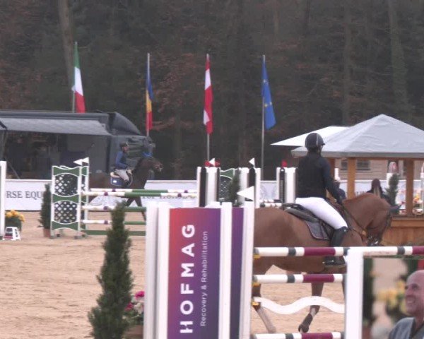 Reitturnier Ranshofen - Braunau am Inn 2025