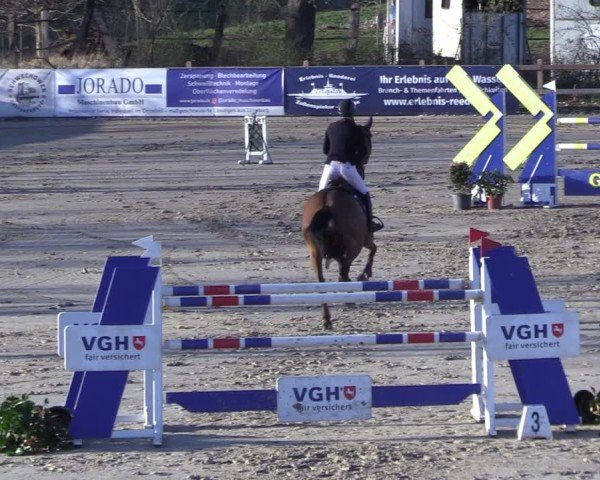Reitturnier Scharnebeck 2025