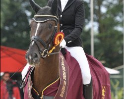 dressage horse Damian 56 (German Sport Horse, 2015, from Don Diamond)