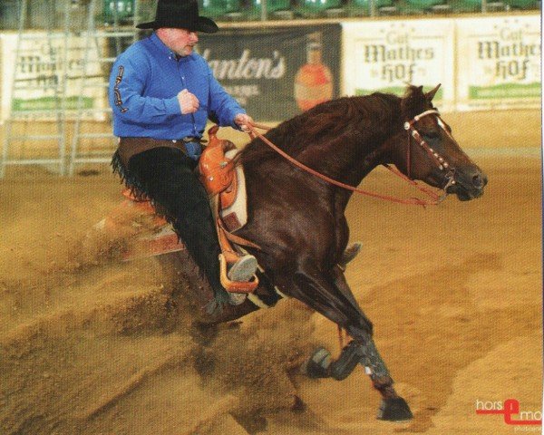 stallion Little Whiz Chic (unknown, 2003)