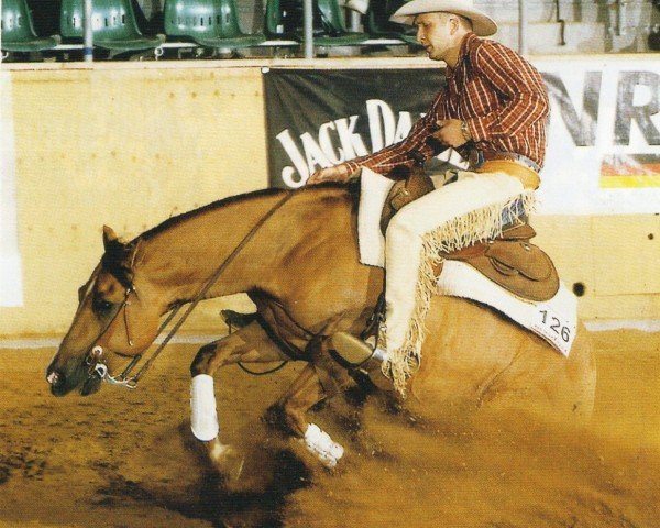 horse Like A Snap (Quarter Horse, 1999, from Snapper Cal Bar)