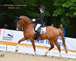 dressage horse Claudius Aurelius (German Riding Pony, 2016, from Cosmopolitan NRW)