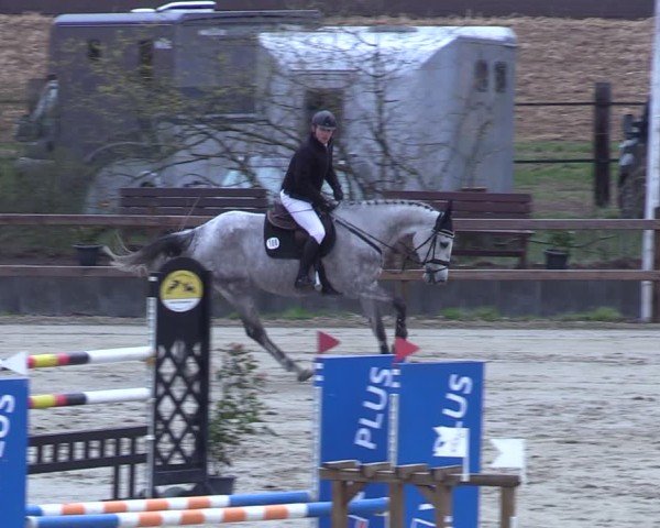 Reitturnier Scharnebeck 2025