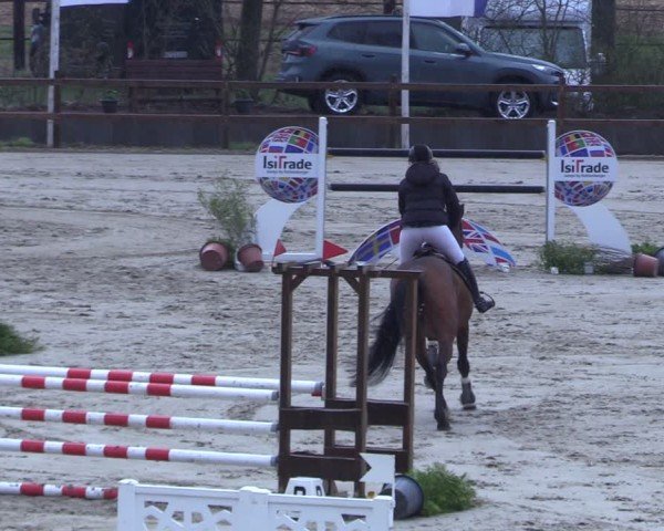 Reitturnier Scharnebeck 2025