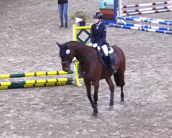 Reitturnier Leck 2025