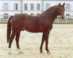 stallion Kimberland (FR) (French Trotter, 1976, from Nevele Pride 7308E (US))