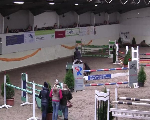16. Legdener Pony-Meeting