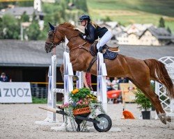 jumper de Red Mic Z (Zangersheide riding horse, 2013, from Dior van Berkenbroek)