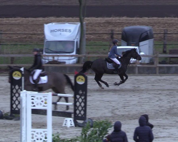 Reitturnier Scharnebeck 2025