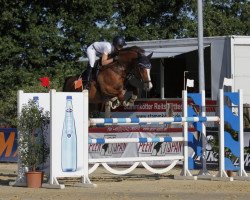 broodmare Taloucine Z (Zangersheide riding horse, 2012, from Taloubet Z)