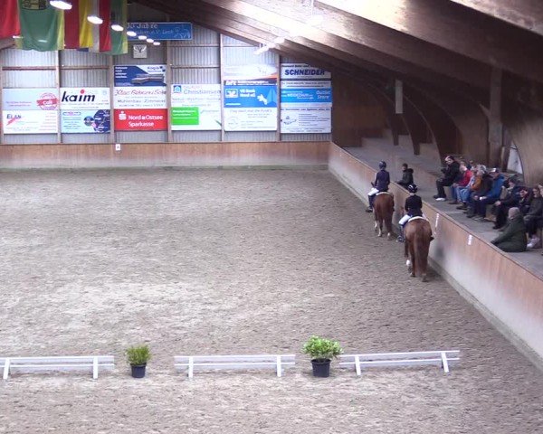 Reitturnier Leck 2025