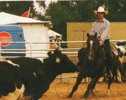 stallion Little Peppy Coke (Quarter Horse, 1985, from Peppy San Badger)