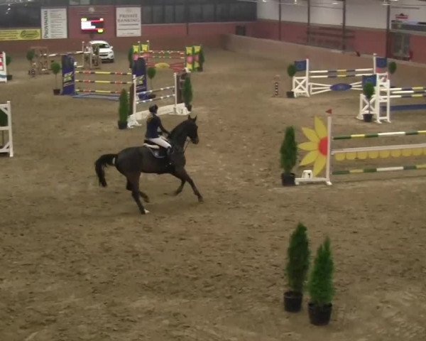Junior Open 2013