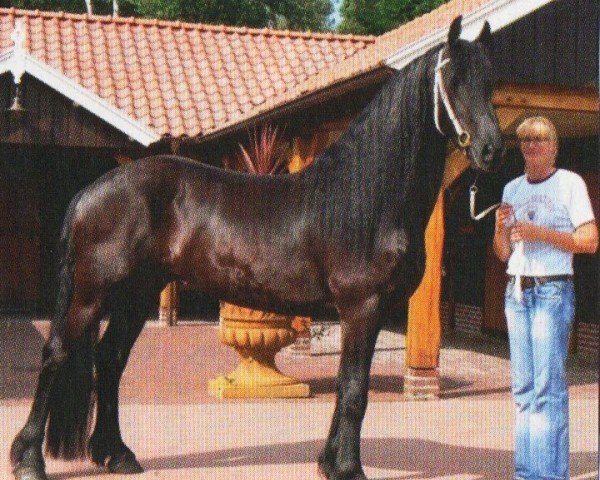 horse Wubbo (Friese, 2007, from Brend)