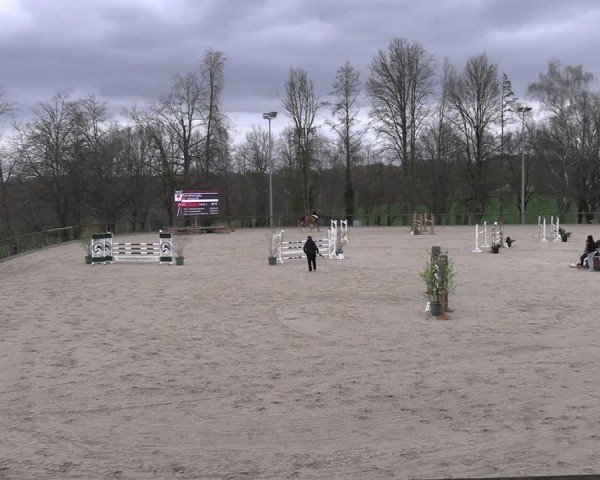 Reitturnier Erkrath 2025