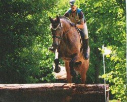 horse Carma (Oldenburg, 2001, from Capilano)