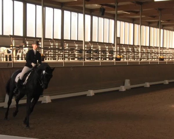 Hallenreitturnier RV Giebelwald 2013