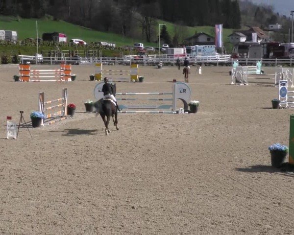 Reitturnier St. Margarethen 2025