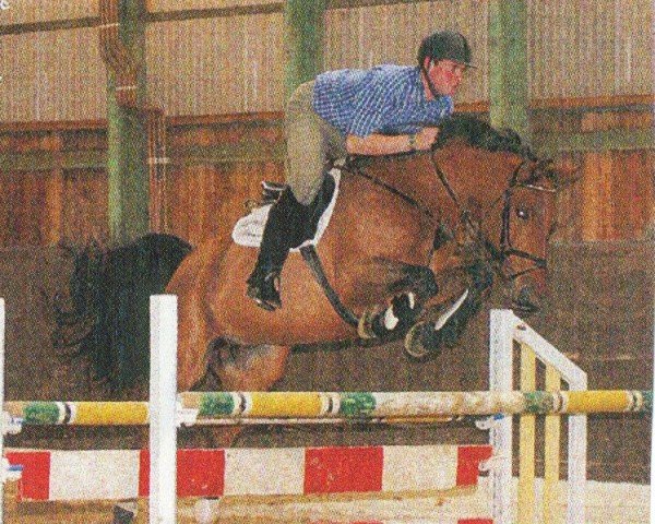 horse Grand ouvert (Saxony-Anhaltiner, 1997, from Geraldini)