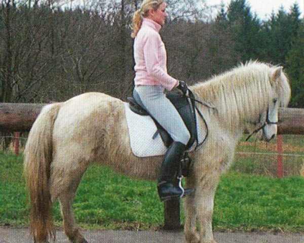 Pferd Freya de Ny (Islandpferd, 1994, von Kraflar fra Midsitju)