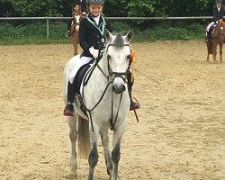 dressage horse Ballygill Dawn (Connemara Pony, 2013, from Gwennic de Goariva)